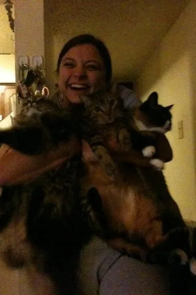 A young woman beams with joy at the camera while holding three cats in her arms. All three cats are facing the camera and looking in different directions with their feet dangling.