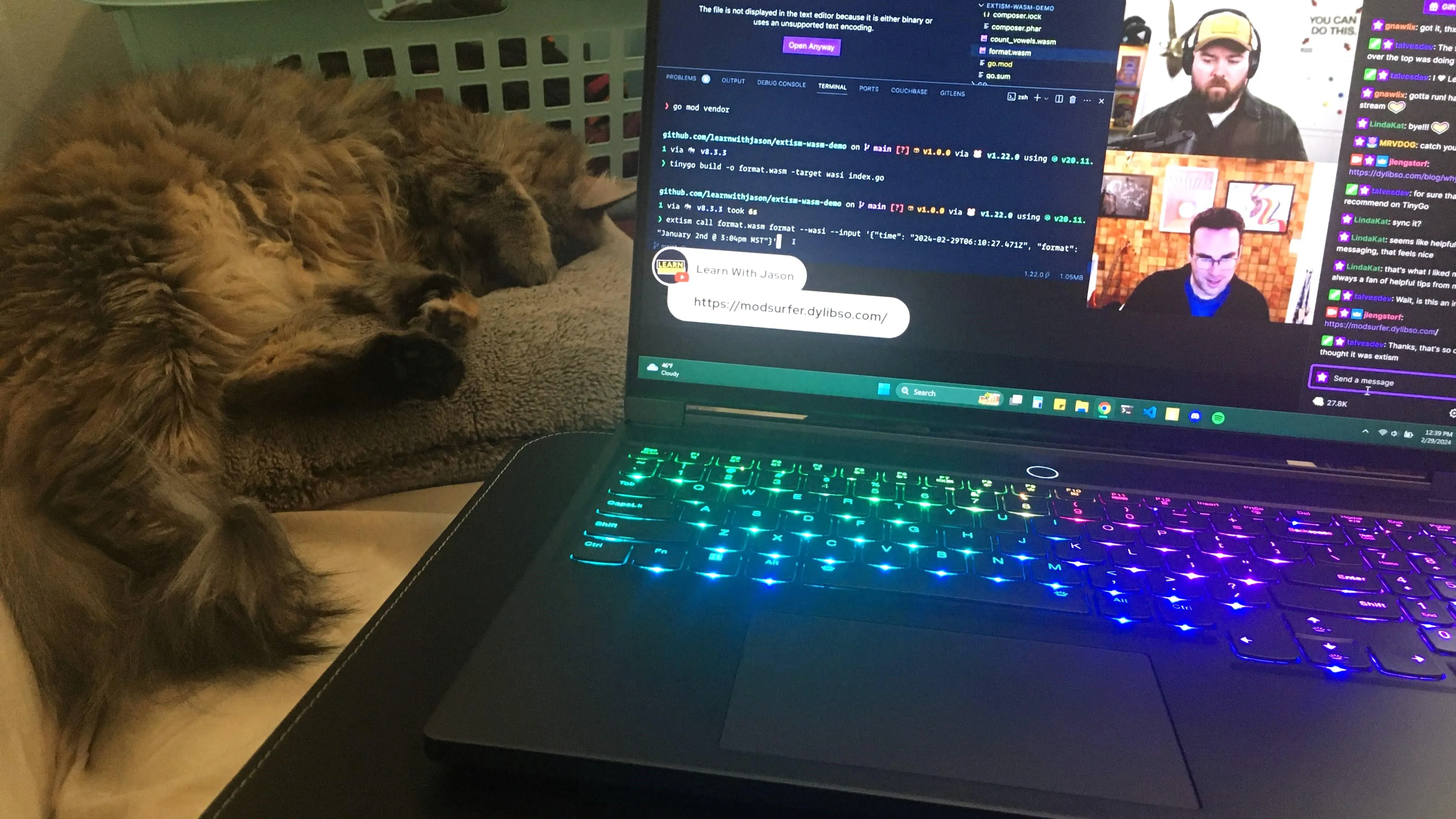 A soft cat sleeps on a tan pillow on the left side of a laptop. The laptop has rainbow glowing keys and shows a programming stream on the screen.